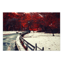 Winter Meets Fall in Central Park, NYC Photographic Print