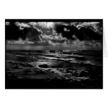 Winter Morning in San Diego Greeting Cards