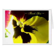"Winter Pansy" Greeting Card