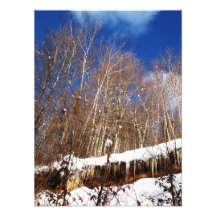 winter photo art