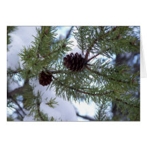 winter pine Christmas Card
