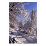 Winter Post Cards