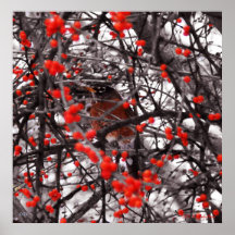 Winter Robin Posters