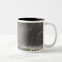 Winter Scene mugs