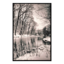 Winter Scene Photograph