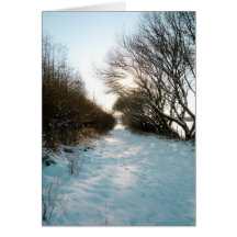 Winter Snow Covered English Countryside Path Card