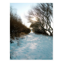 Winter Snow Covered English Countryside Path Postcards