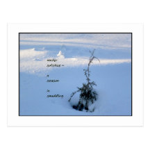 Winter Solstice Postcard