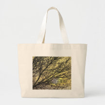 winter sun tote bag