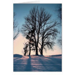 Winter trees on blue sky background greeting card