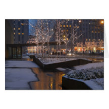 Winter Warmth Greeting Cards