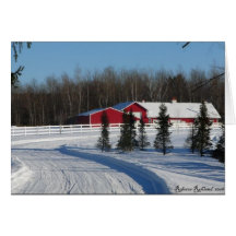 Winter Wishes Greeting Cards