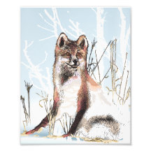 Winter Wolfe Photo
