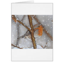 Winter Wonder Greeting Cards