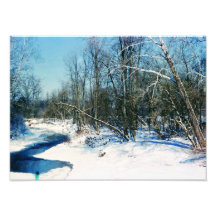 Winter Wonderland Art Photo