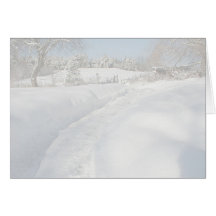 Winter Wonderland Greeting Cards