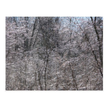 Winter Wonerland Postcard