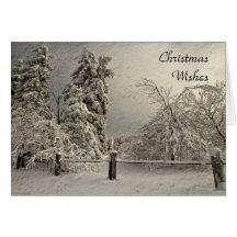 Wintry Snowy Trees - Greeting and Note Card
