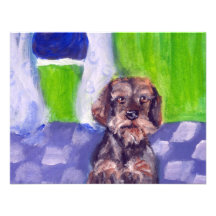 wirehaired dachsund senses smiling moon invites