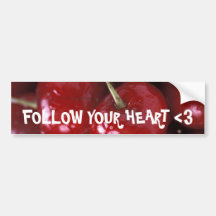 WISDOM BUMPER STICKER