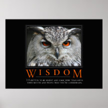 Wisdom Motivational Parody Poster
