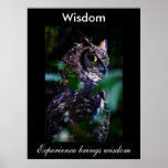 Wisdom Poster