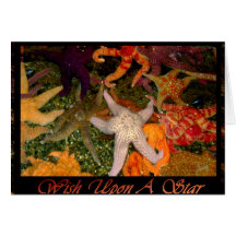 Wish Upon A Star Cards