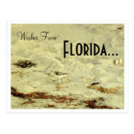 Wishes From, Florida... Post Cards