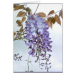 Wisteria Card