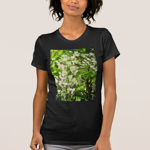 Wisteria Peaches And Cream T-shirts