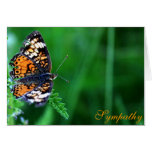 With Deepest Sympathy Butterfly Design cards