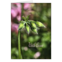 With Love - Flower Buds cards