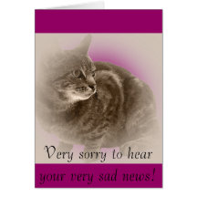 With Sympathy (loss of a cat) Greeting Cards