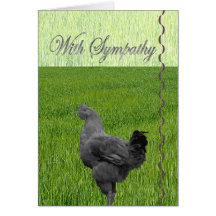 With Sympathy (loss of a chicken) Greeting Cards
