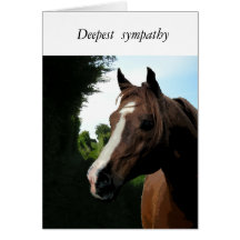 With Sympathy (loss of a horse) Cards