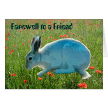 With Sympathy (loss of a rabbit) Card