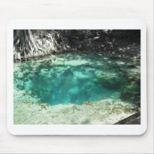 Withlacoochee Springs Mouse Pad