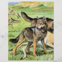 wolf and coyote flyers