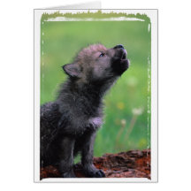 Wolf Cub Greeting Cards