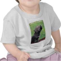 Wolf Cub T-shirt