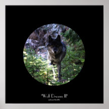 WOLF DREAMS Grey Wolf Wildlife-Support Poster