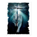 WOLF & EAGLE Wildlife Series Post Cards