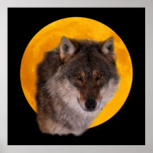 Wolf moon Poster