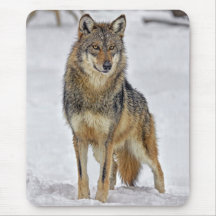 Wolf On Watch Mousepads