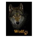 Wolf postcard