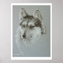 "Wolf Silver Boy" Posters