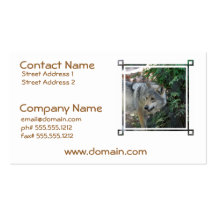 Wolf Snarl  Business Cards