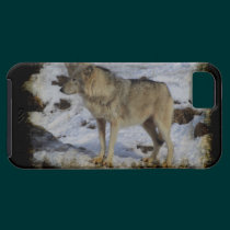 Wolf & Snow Wolf-Lover Wild Animal Alpha Male casemate cases