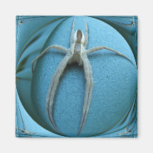 Wolf Spider ~ magnet
