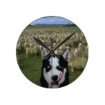 Wolf vs. lamb clocks